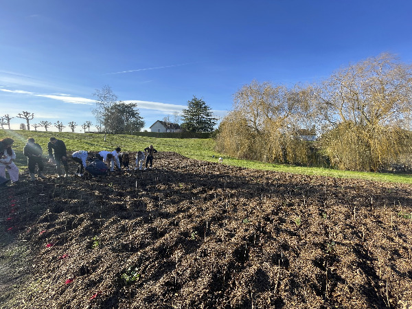 Les élèves plantent des arbres à Montierchaume PLantations d'arbres à Montierchaume