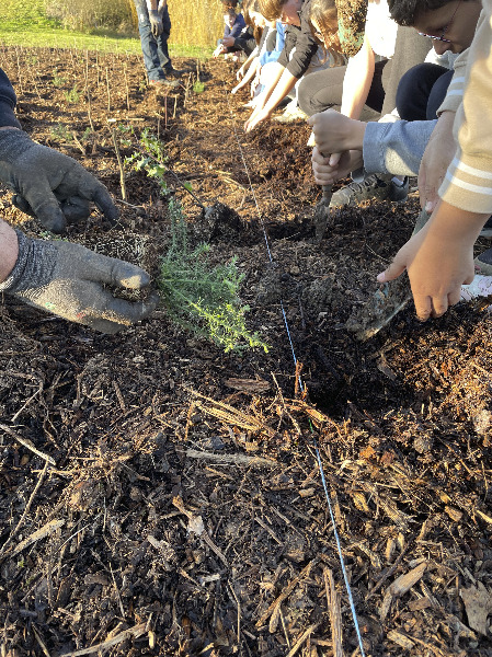 Les élèves plantent des arbres pour la micro forêt à Montierchaume Plantations à Montierchaume
